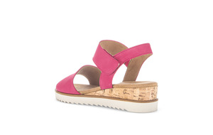 Wedges: FLO-GABOR