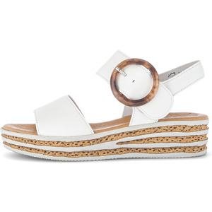 Wedges: RAMONA-GABOR