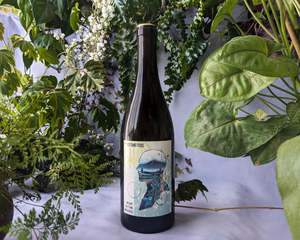 2024 Boat in the Woods Viognier