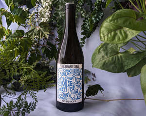 Frontpage: 2023 No Devices