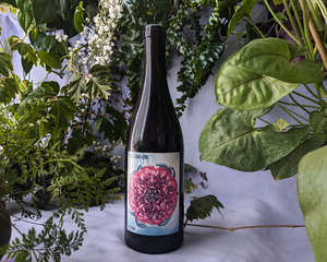 2023 Flōs Pinot Noir