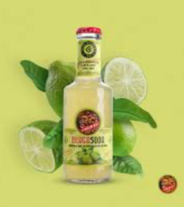 Bisleri Bergamotto 200ml