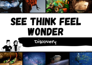 Products: See Think Feel Wonder resources