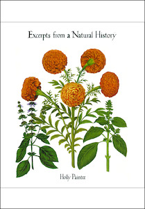 Excerpts from a Natural History by Holly Painter - Atuanui Press
