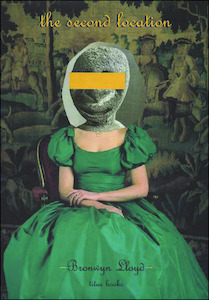 The Second Location by Bronwyn Lloyd - Atuanui Press