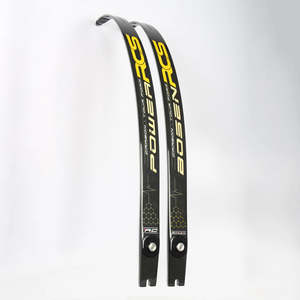 BOSEN - RCS FOAM CORE CARBON ILF & FORMULA LIMBS GLOSS FINISH