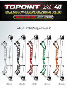Compound Bow: TOPOINT Compound Bow - X40"