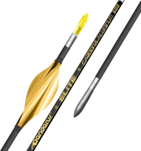 Arrows: Pandarus - ELITE XT parallel shaped CAC structure arrows