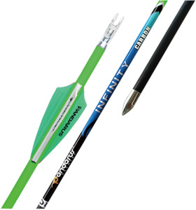 Arrows: PANDARUS - Infinity Arrows (shaft + compounds)