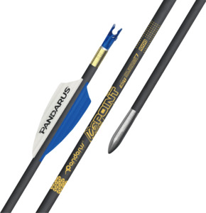 PANDARUS - ICE Point Arrows 0.001 Straightness Gold Label