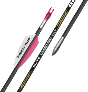 Arrows: PANDARUS - CA320 PRO Arrows (12 arrows per pack) - for Compound Bow