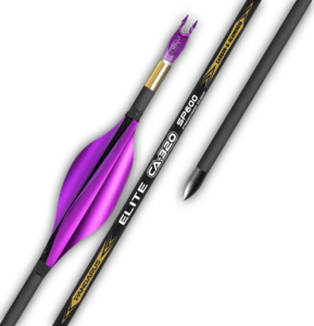 Arrows: PANDARUS - CA320 Arrows (12 arrows per pack) - for Recurve Bow