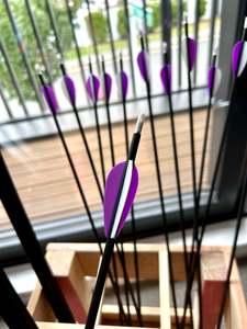 Professional Services: Arrows fletching/repair