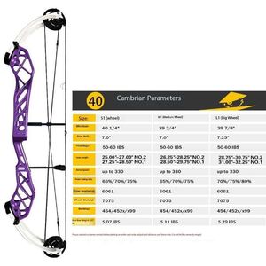 Compound Bow: Pandarus Cambrian 40" Compound Bow