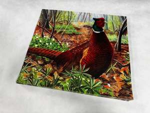 Animal target face (Non-woven fabric & Kraft paper) - Pheasant