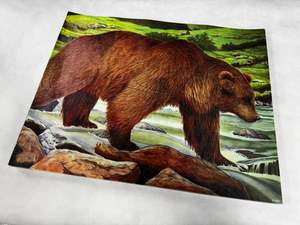 Animal target face (Non-woven fabric & Kraft paper) - Bear