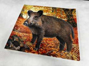 Target: Animal target face (Non-woven fabric & Kraft paper) - Wild Boar