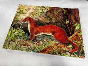 Animal target face (Non-woven fabric & Kraft paper) - Ermine