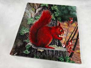 Target: Animal target face (Non-woven fabric & Kraft paper) - Squirrel