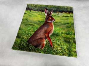 Target: Animal target face (Non-woven fabric & Kraft paper) - Rabbit