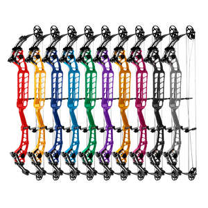Compound Bow: Sanlida X10 Hero II Compound Bow(2 weeks back order)