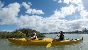 Whangateau Kayak Day