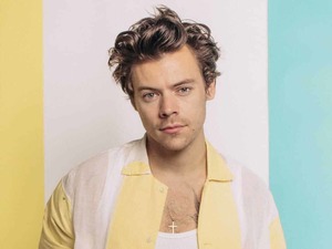 Products: Dinner At Harry's House Harry Styles Themed Night