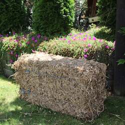 Waiheke Island Residents - Pea Straw Bale Incl Delivery
