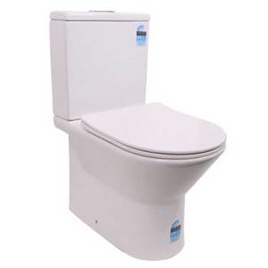 Products: Raymor Projex Toilet Suite