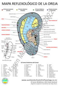 Products: Spanish Ear Reflexology Chart ASoR