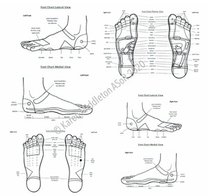 Foot Reflexology Chart All Views ASoR