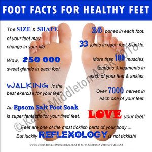 Products: Foot Facts for Healthy Feet ASoR
