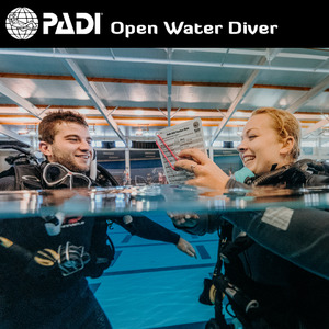 Recreational Courses: PADI Open Water Diver Referral Course (Theory + Pool Session + PIC)