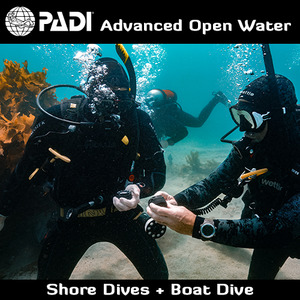 Recreational Courses: PADI Advanced Open Water (Local)