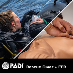 Recreational Courses: PADI Rescue Diver + EFR (First Aid)