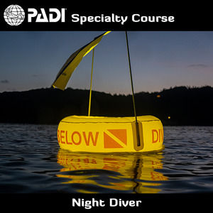 Speciality Courses: PADI Night Diver Speciality