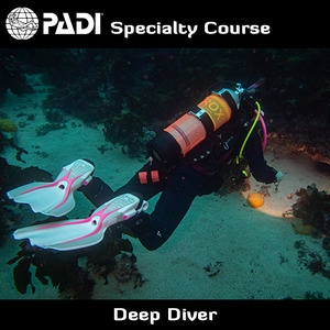 Speciality Courses: PADI Deep Diver Specialty (incl. 4 boat dives)