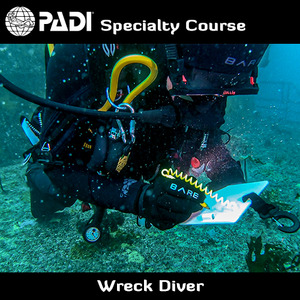 PADI Wreck Diver Specialty (incl. 4 boat dives)
