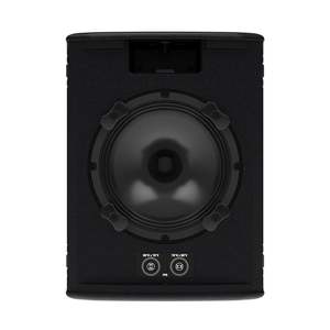 Passive Speakers: Martin 8" Passive 2 way FlexPoint enclosure