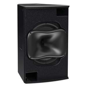Martin 15Ã¢ÂÂ Triaxial Point Source Loudspeaker