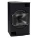 Martin 15Ã¢ÂÂ Triaxial Point Source Loudspeaker