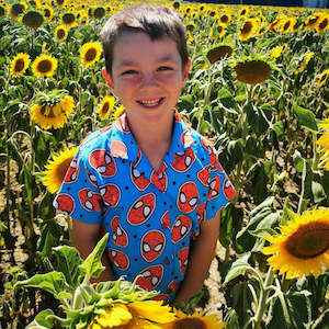 Shirts 1: Short Sleeve Shirts - Other