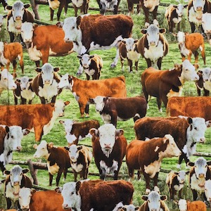 Short Sleeve Shirts - Animals