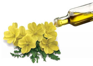 Carrier Oils: Evening Primrose Oil