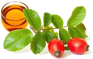 Carrier Oils: Rosehip Oil Virgin Organic 100% Pure