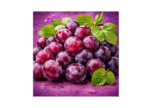 Raw Materials: Soap Base-SLS Free-Clear (Melt & Pour)