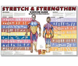 Educational Posters: Stretch & Strengthen Chart
