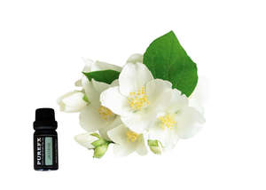 Essential Oils: Jasmine Essential Oil