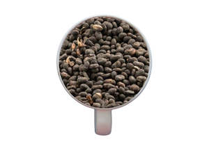 Infused Oils Healing Oils: Bakuchi Oil (Babchi Oil)