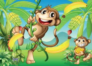 Fragrance Oils: Monkey Farts Fragrance Oil